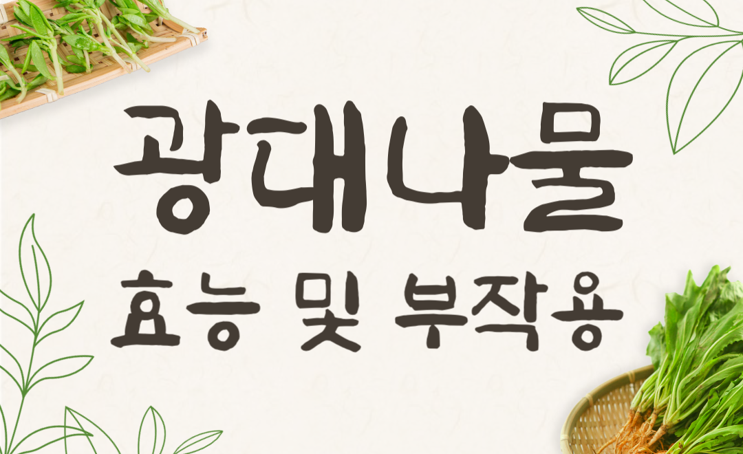 광대나물 효능과 부작용, 먹는법 완벽 가이드