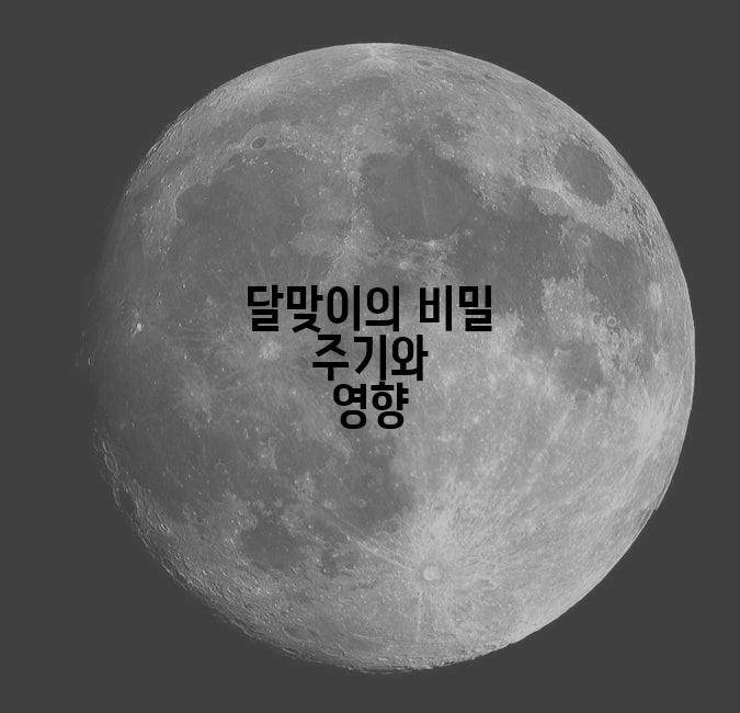 달맞이의 비밀 주기와 영향