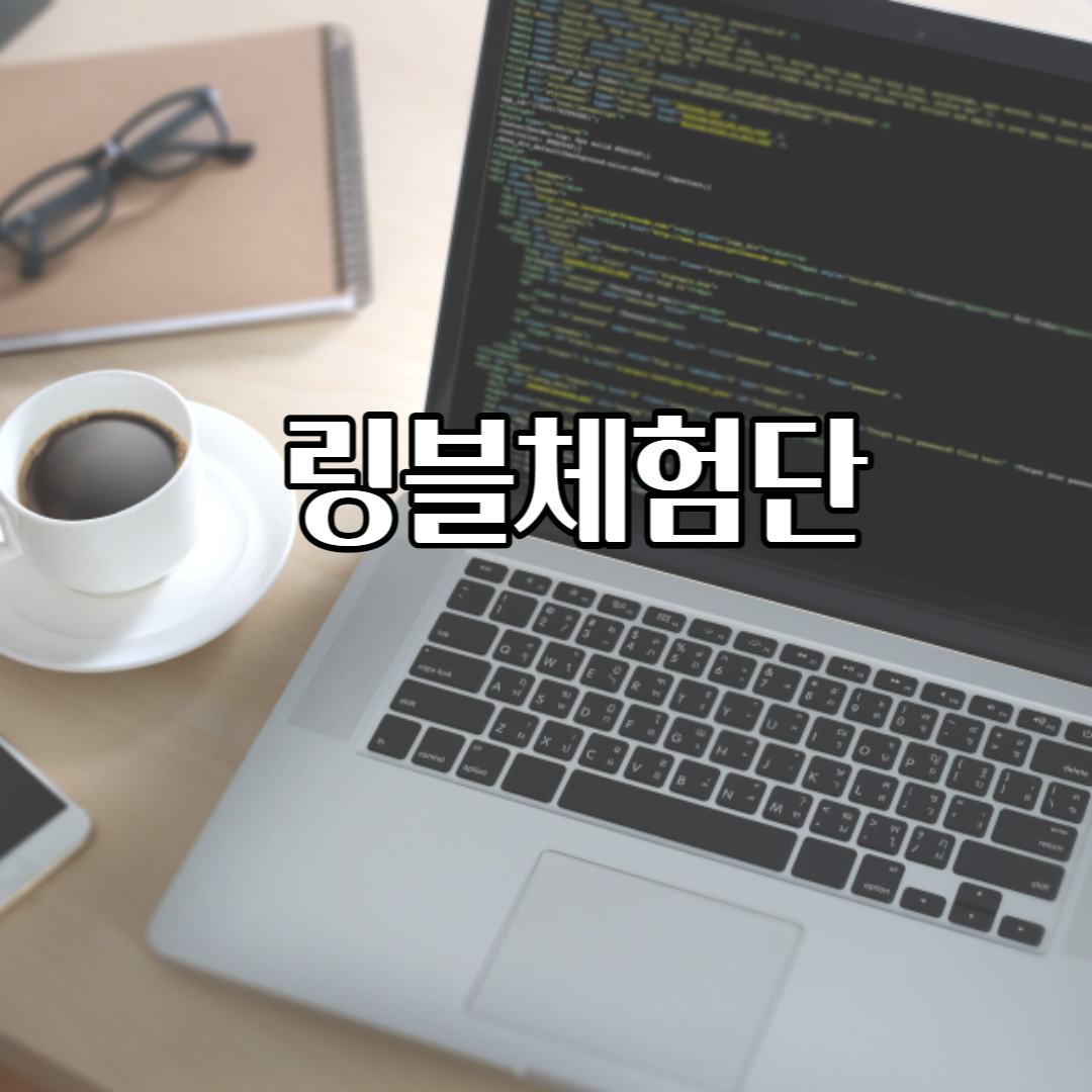  링블체험단 당첨률 높은 체험단