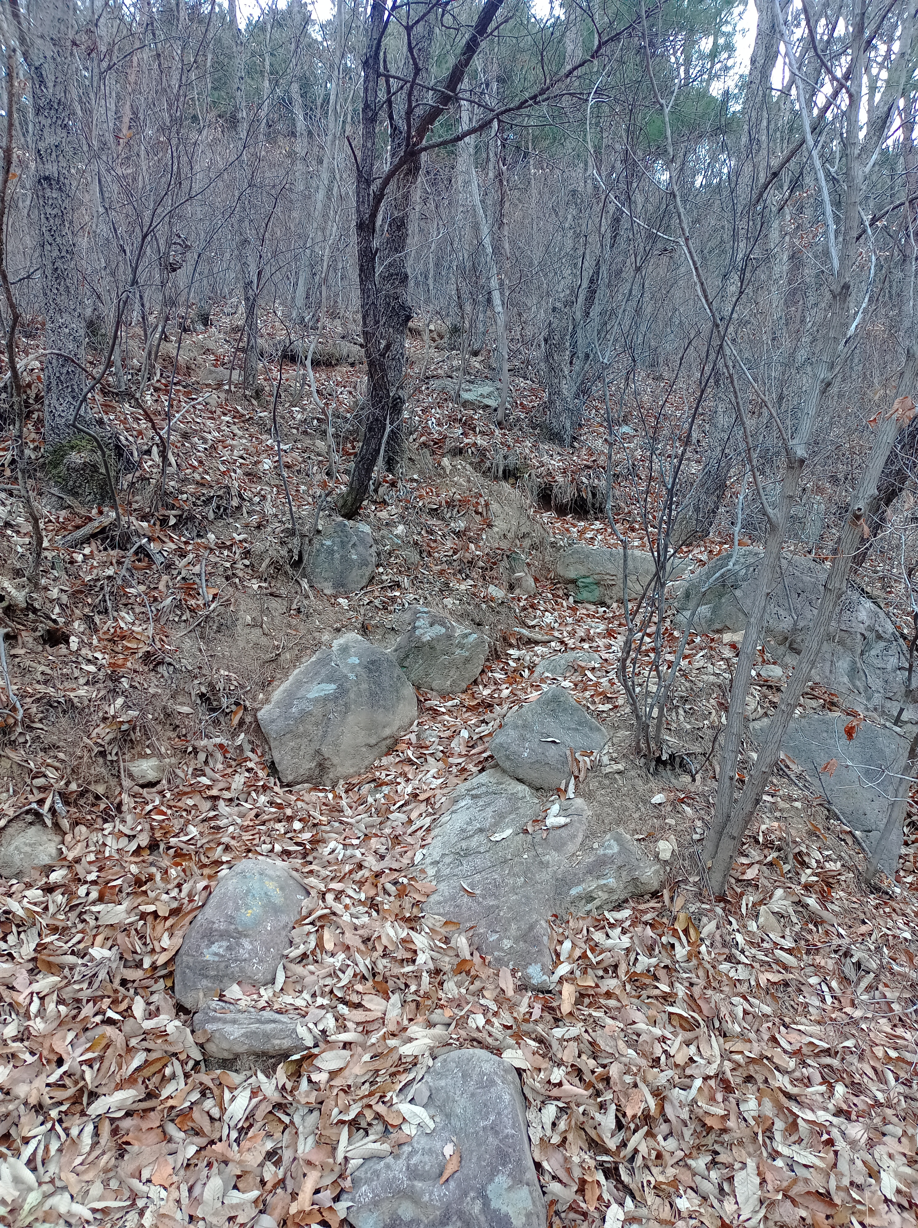 IMG_20221203_095006_046.jpg