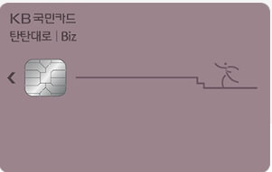 KB 탄탄대로 Biz 카드
