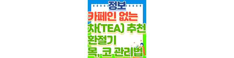 카페인 없는 차(TEA) 추천 (환절기 목&#44; 코 관리 방법)