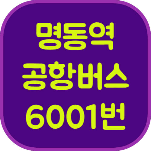 명동역-6001번-공항버스-이미지