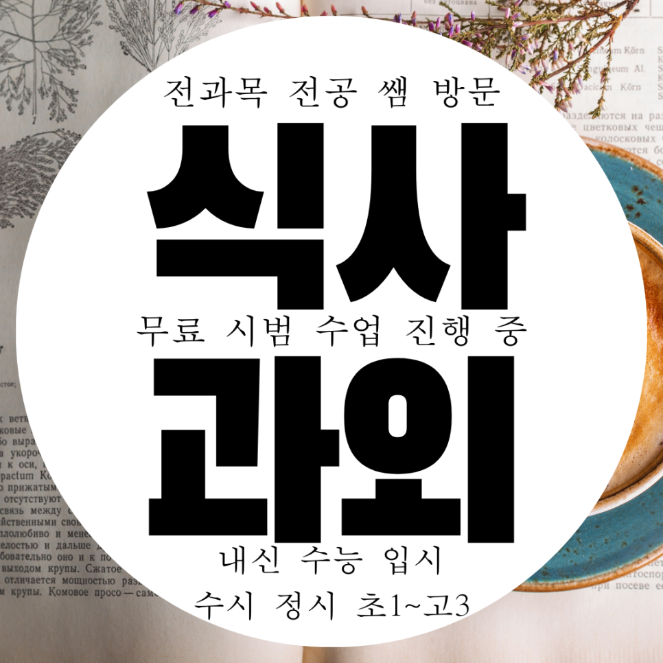  일산동구 식사동 중등 영어과외 마두동 영어과외 고등 물리 과학