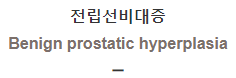  전립선비대증 [Benign prostatic hyperplasia]