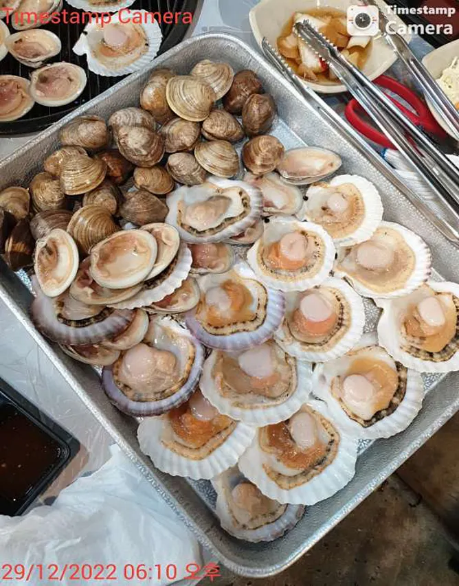 삼척 조개구이 무한 리필