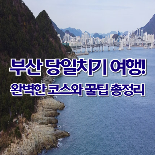 부산 당일치기 여행! 완벽한 코스와 꿀팁 총정리