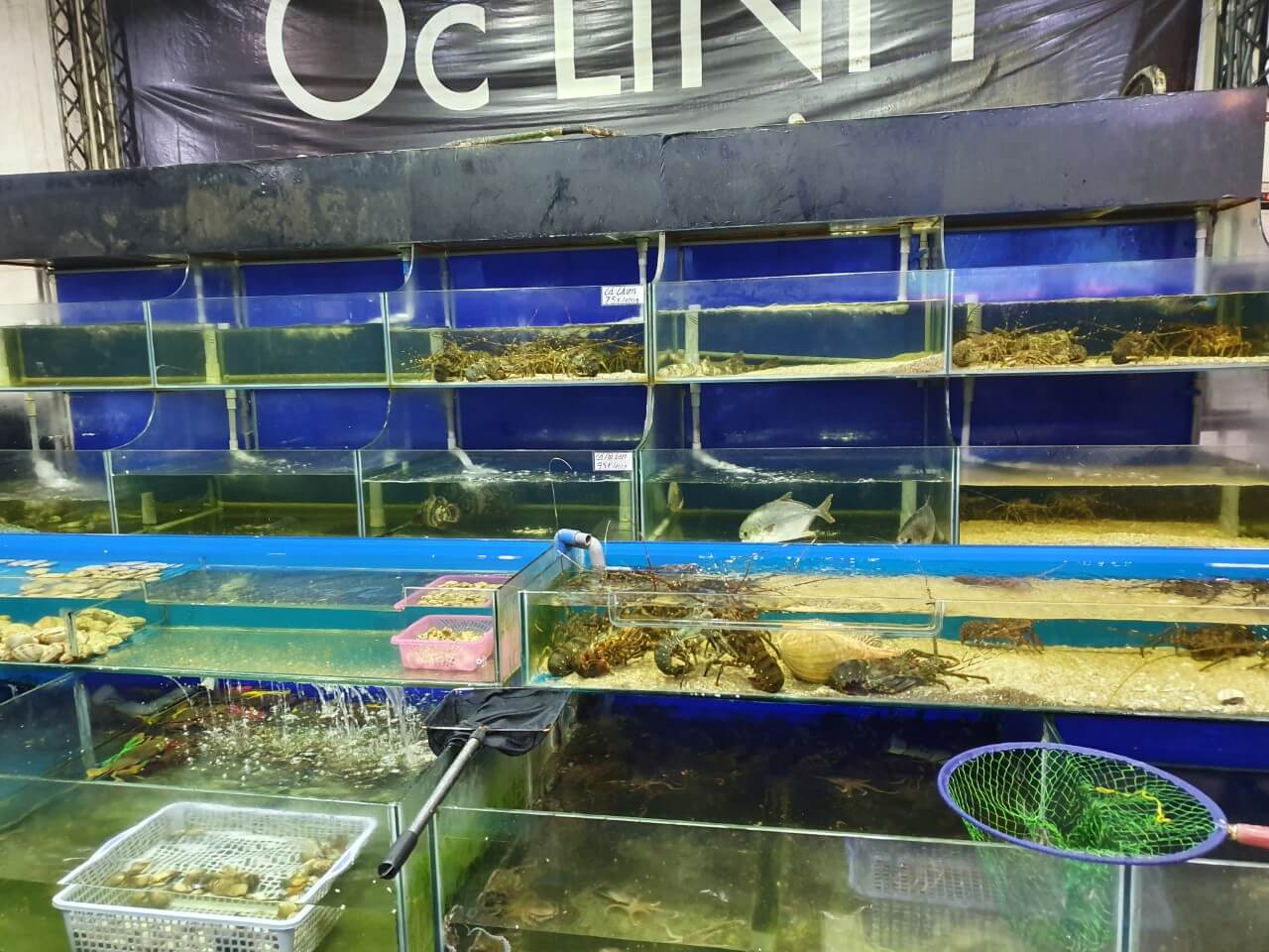 옥린 해산물 식당 수조