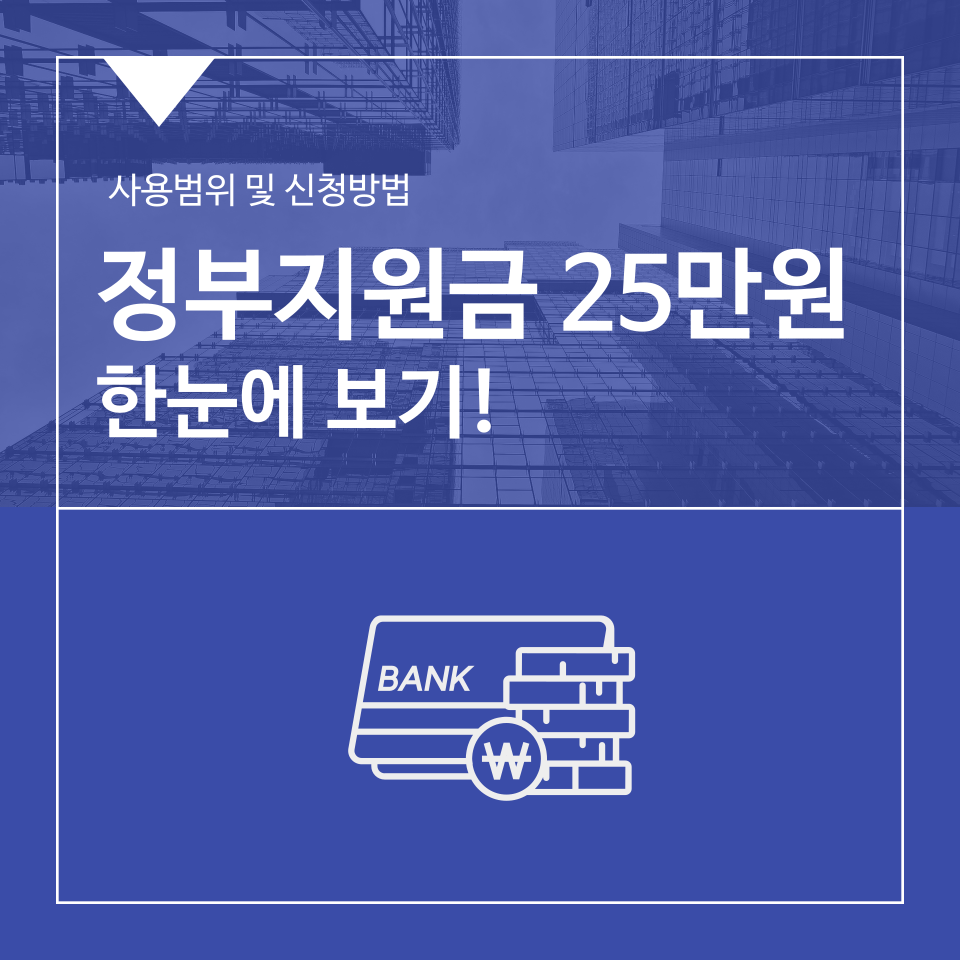 정부지원금 25만원