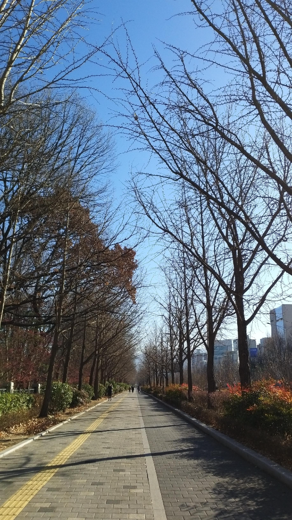  [20201217]겨울이구나...