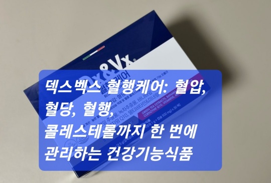 덱스벡스 혈행케어