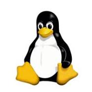  [linux] centOS 파일디렉토리 소유와 허가권