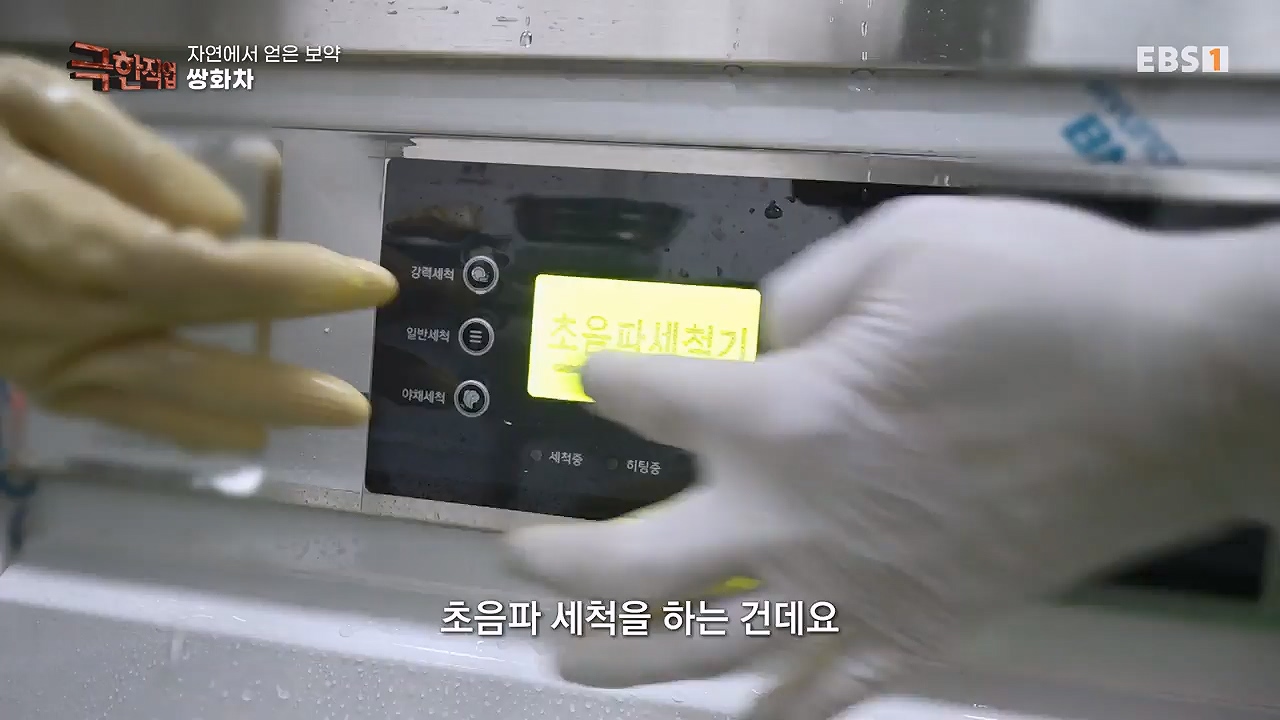 TV - 전 국민의 평생학교 EBS자연에서 얻은 보약, 상황버섯과 산나물, 쌍화차.mp4_20240615_172253.493.jpg