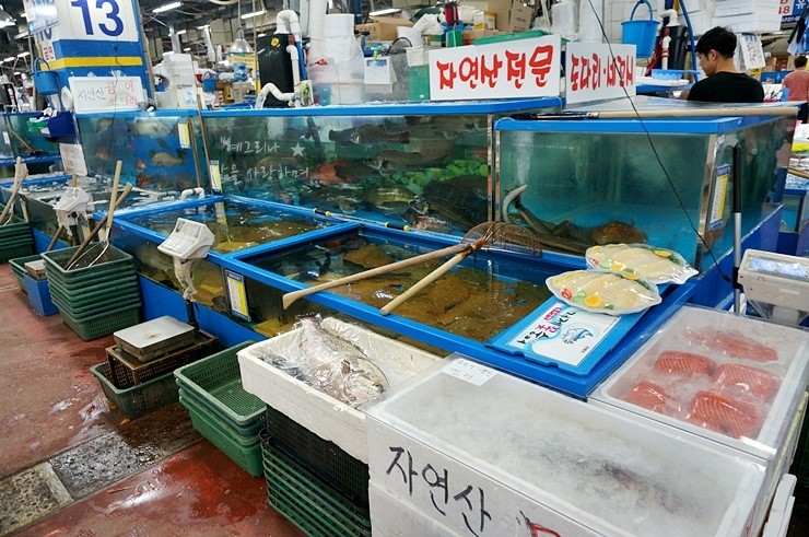 청우수산 이미지