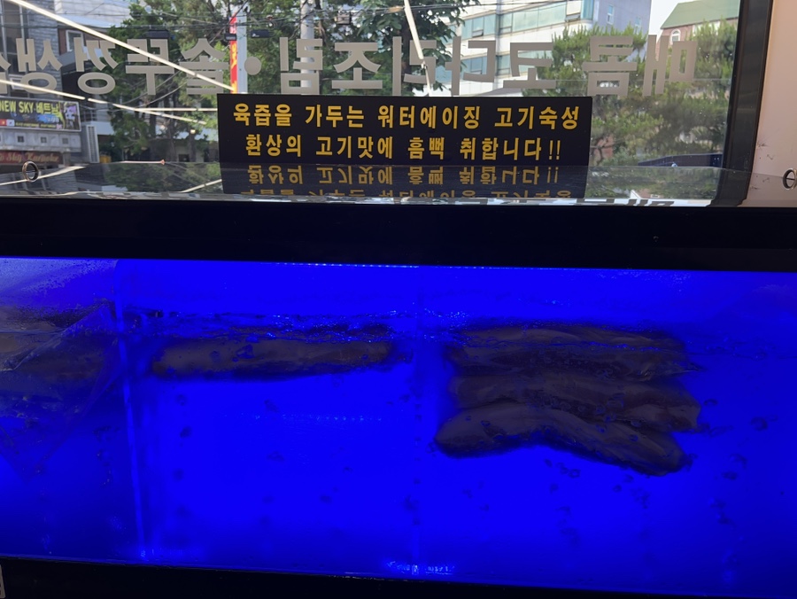 숙성