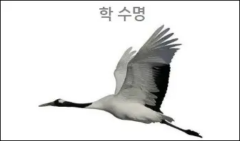학 수명