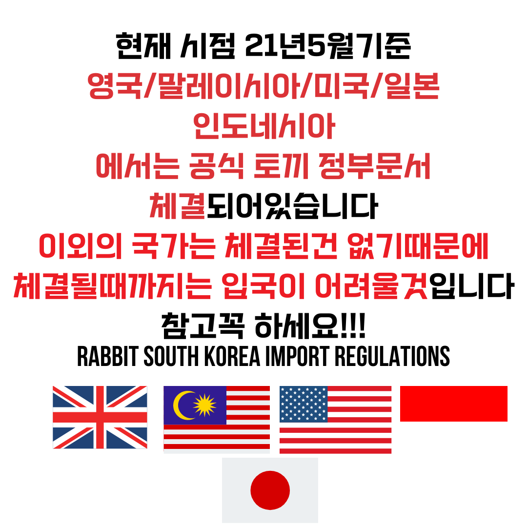  미국에서 토끼검역 애완동물검역 동물검역 강아지검역 고양이검역 USDA 대형견해외운송 대형견우든케이지 제작 대형견케이지높이조정 덧대기 동물해외운송 강아지출국서류 고양이출국서류