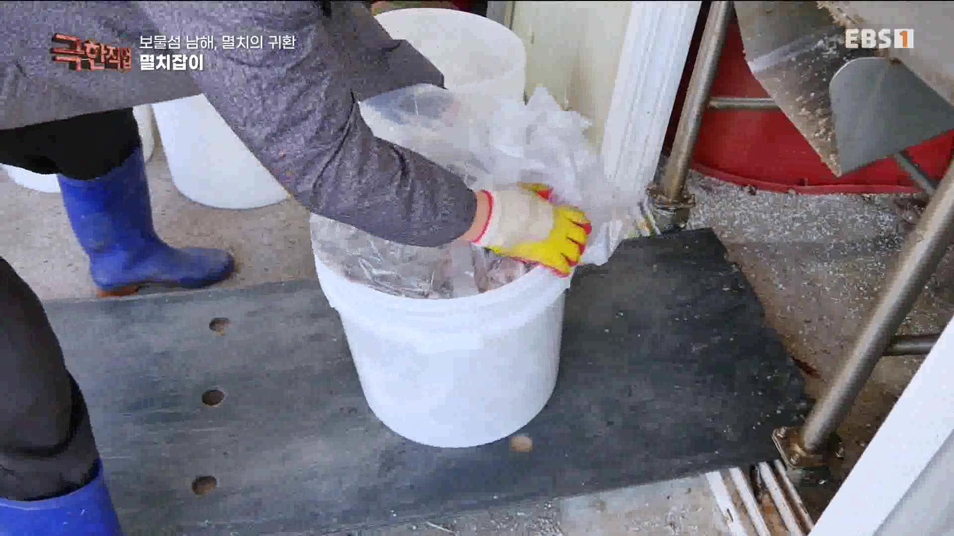 극한 직업 - 보물섬 남해, 멸치의 귀환 1080p.mp4_20230612_202047.355.jpg