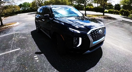 팰리세이드7인승 2