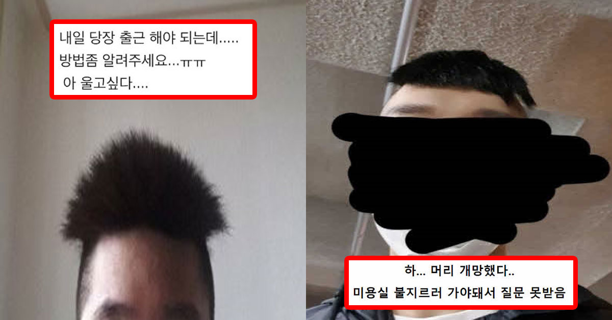  대한민국 천하제일 망한 머리대회 모음