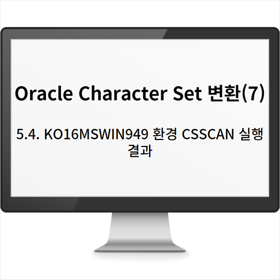  Oracle Character Set 변환(7): 5.4. KO16MSWIN949 환경 CSSCAN 실행 결과