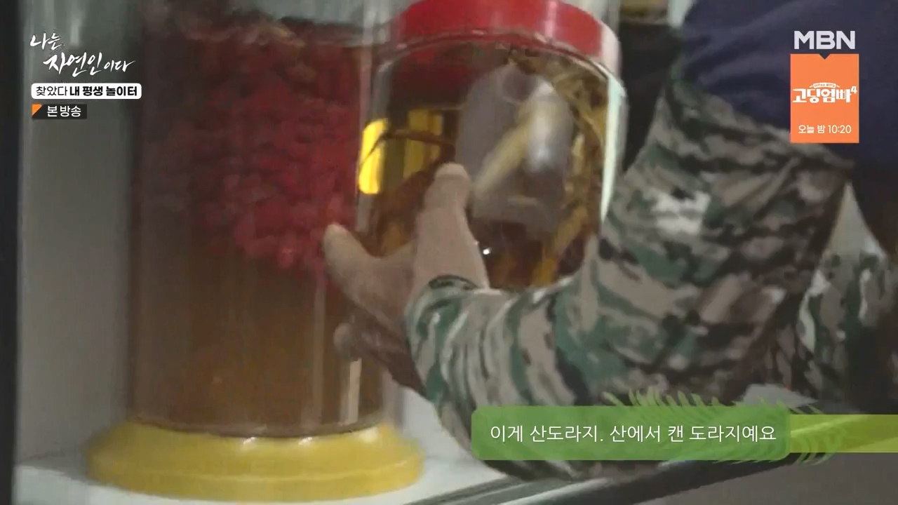 나는 자연인이다.E569.230831p-NEXT.mp4_20230831_201759.069.jpg