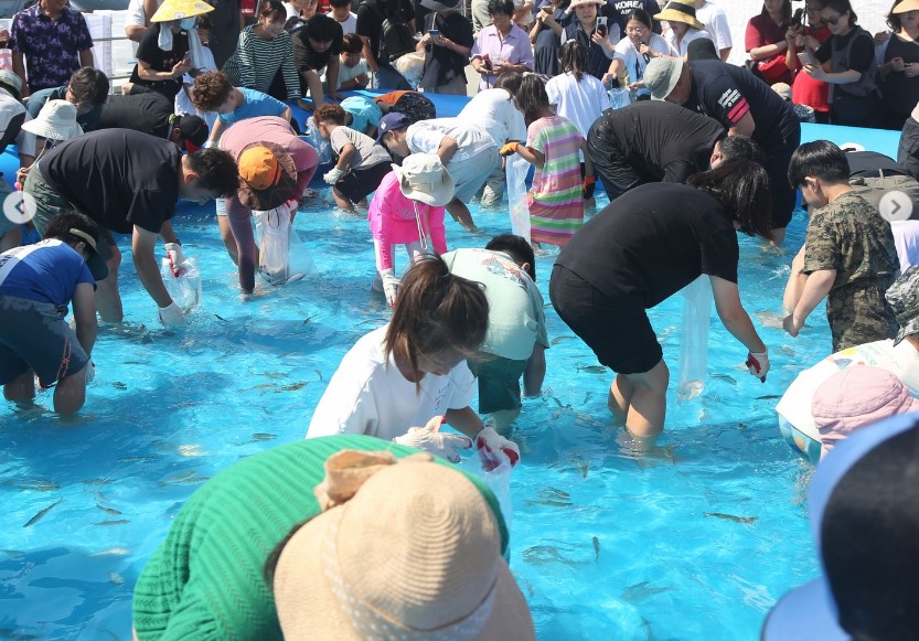 서천 홍원항 자연산 전어 꽃게 축제 일정 맛집 주변 관광지 숙소