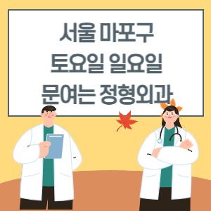 서울 마포구 토요일 일요일 정형외과 진료 병원 리스트