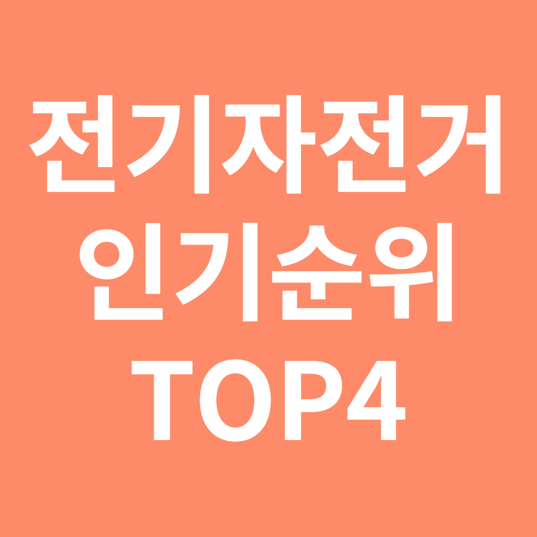 전기 자전거
