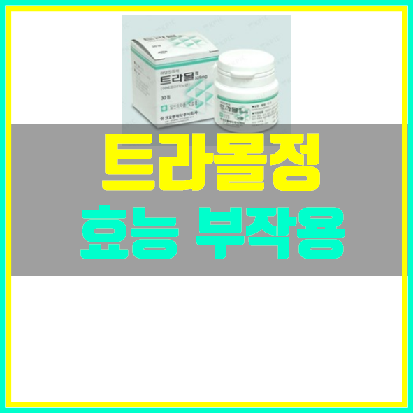  트라몰정 325mg 효능 부작용 정보