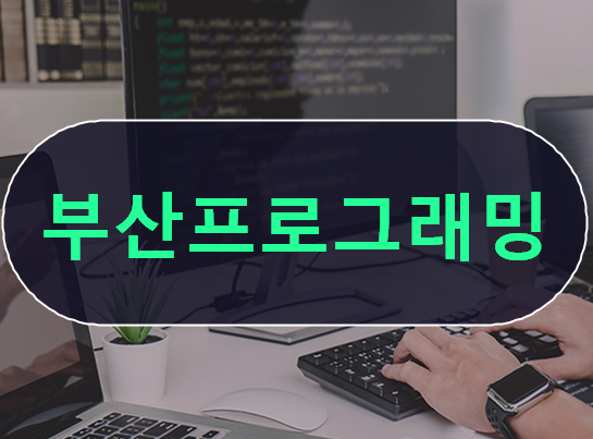  부산프로그래밍학원 파이썬,C언어,자바 선행과목!