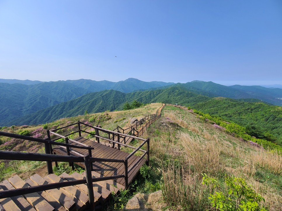 흑약 100대 지리산 바라봉 최단 등산코스 1