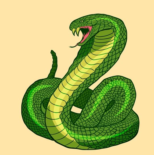  뱀 꿈 해몽 및 풀이 총정리