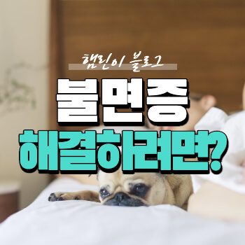 불면증 해결하려면