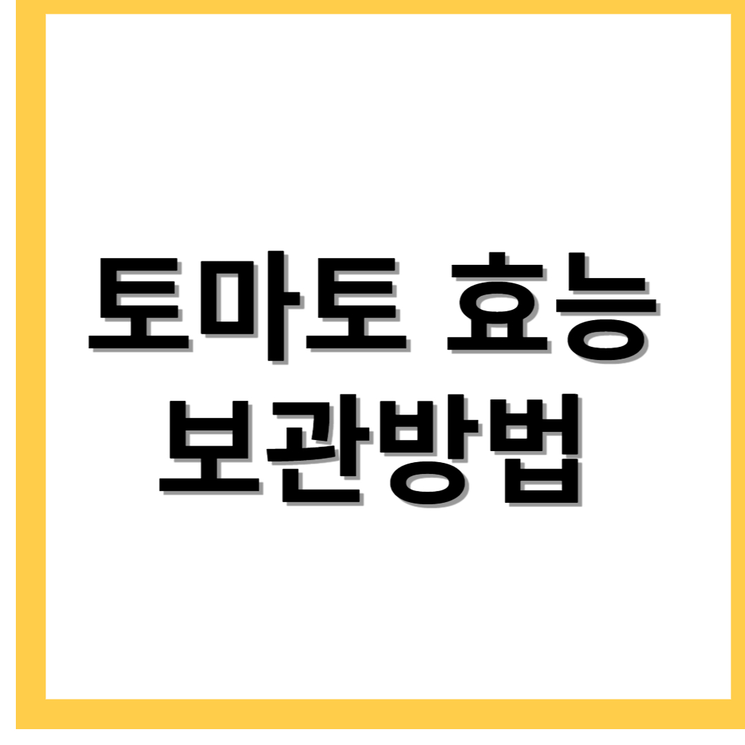  토마토 효능 보관방법 오랫동안 신선하게 먹기