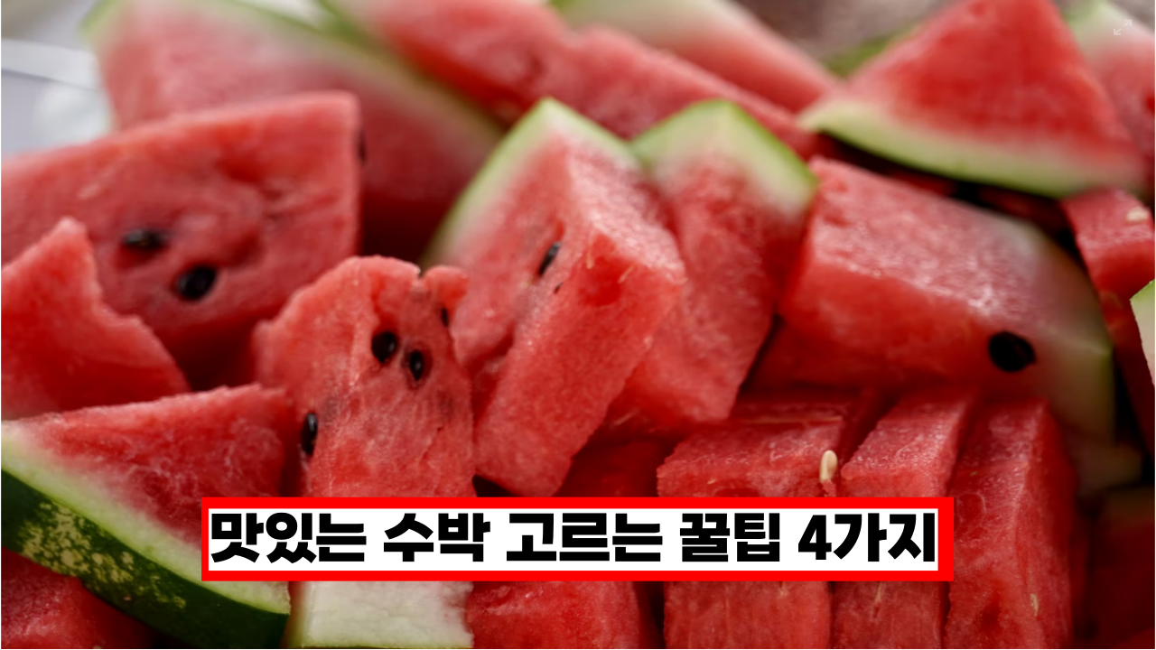  수박살때 이것 꼭 확인하세요. 과일가게 사장님이 알려주는 수박고르는 꿀팁