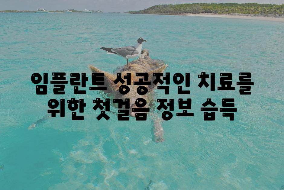 임플란트 성공적인 치료를 위한 첫걸음 정보 습득