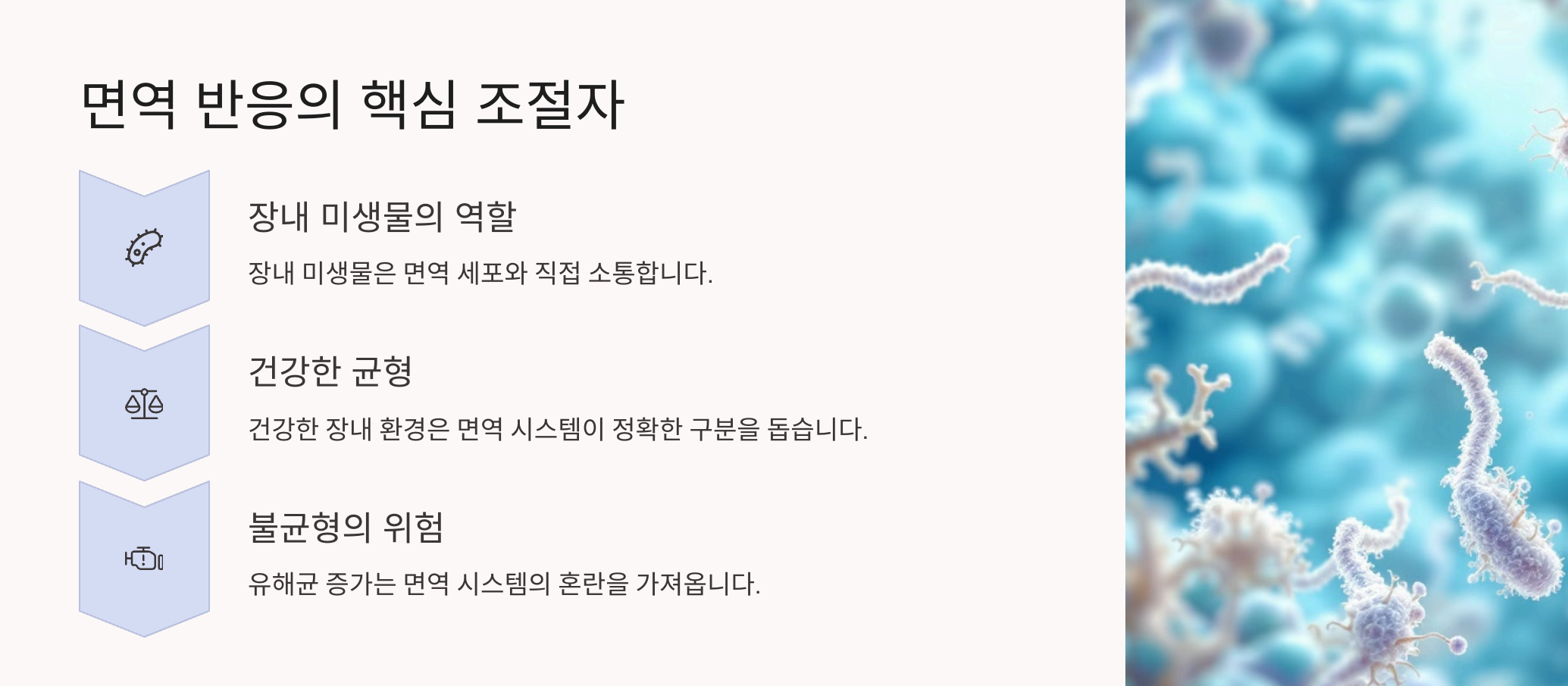 면역반응을 조절하는 3가지 핵심 인자들의 역할을 정리한 그래픽