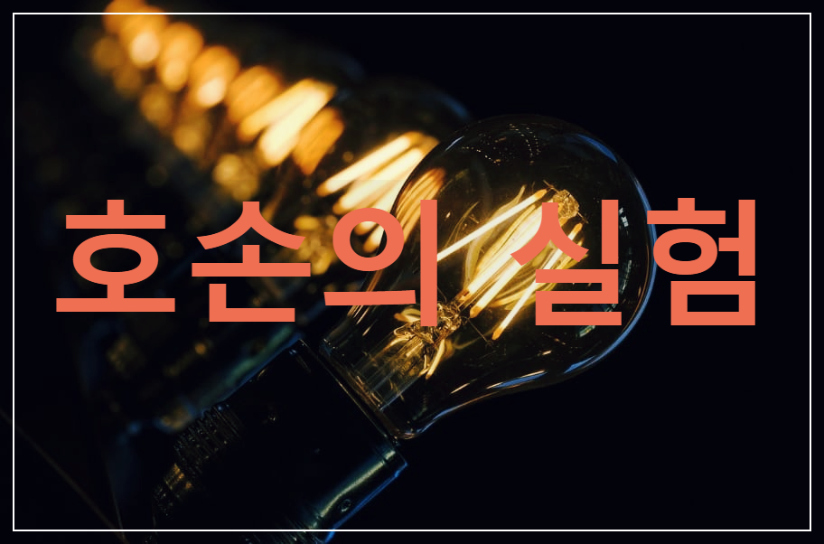  호손의 실험 : 인간관계의 중요성을 발견한 실험