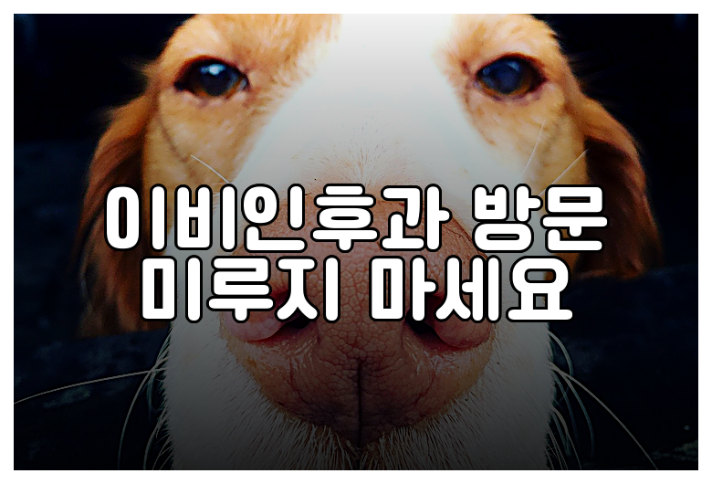 이비인후과 방문 미루지 마세요