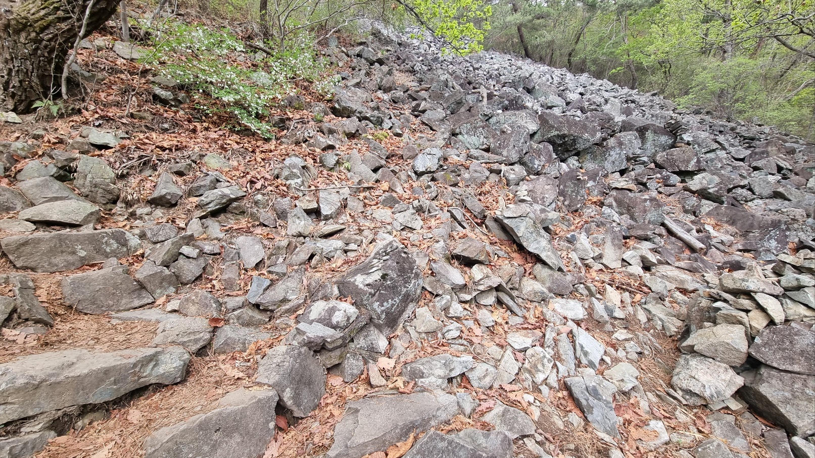 무학산 등산12