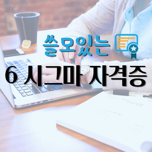 6 시그마 자격증