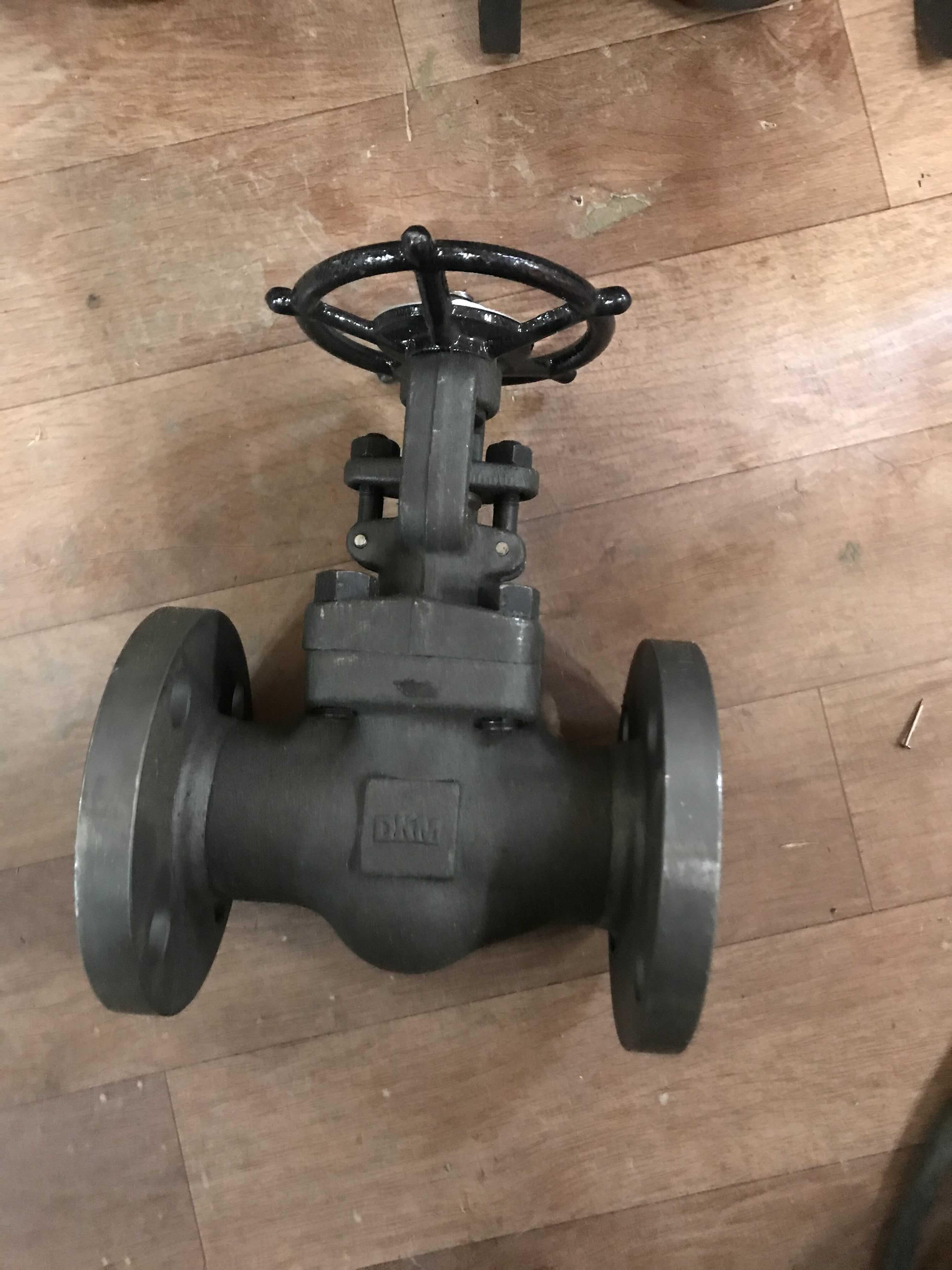 gate valve 2