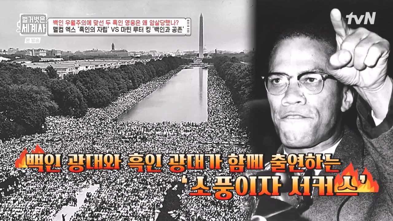 벌거벗은 세계사.E118.230927p-NEXT.mp4_20240507_204819.179.jpg