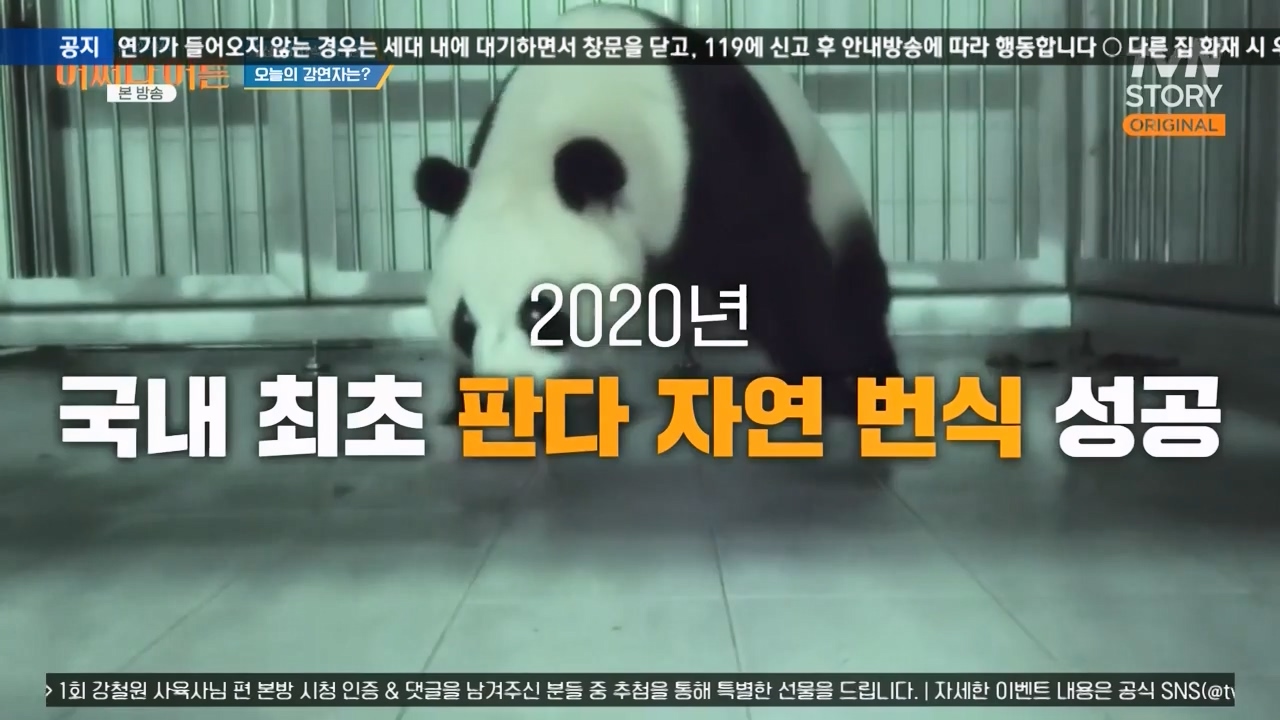 어쩌다 어른.E41.240131p-NEXT.mp4_20240201_200217.646.jpg