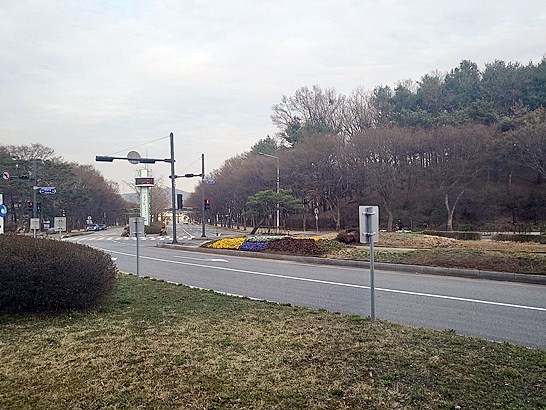 인천대공원 벚꽃축제 주말 주차장 꿀팁