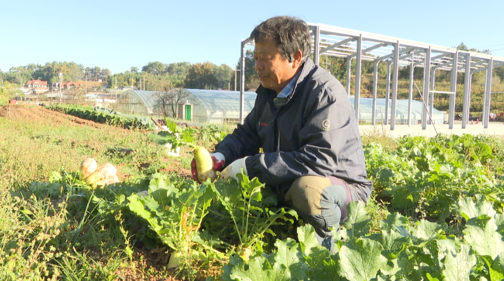 인간극장-남편은철부지-광주-쌀농사