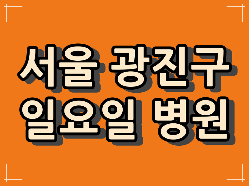  광진구 일요일 병원과 일요일 진료시간.