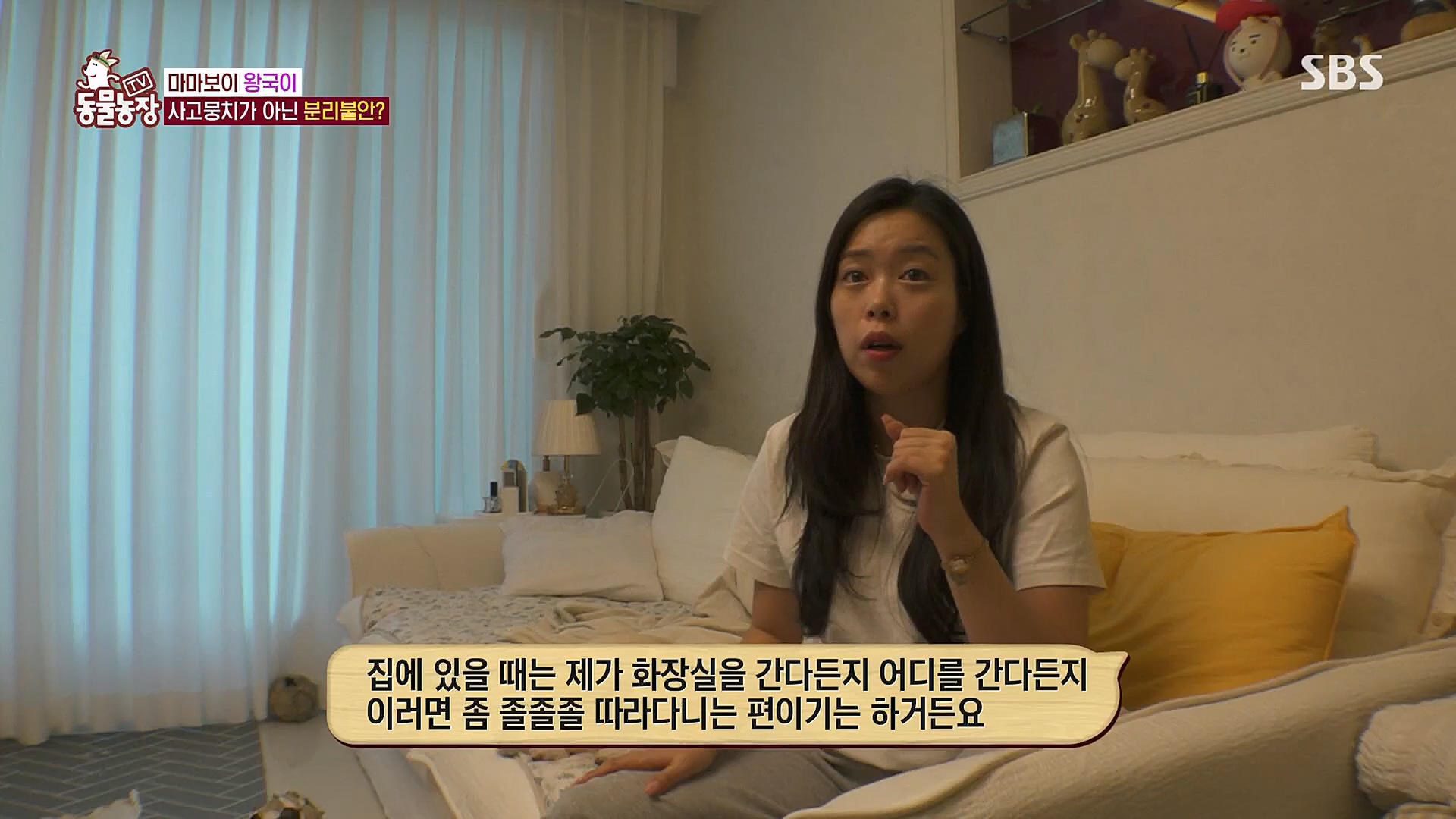 TV 동물농장.E1106.230129p.H264-F1RST.mp4_20230130_192729.119.jpg