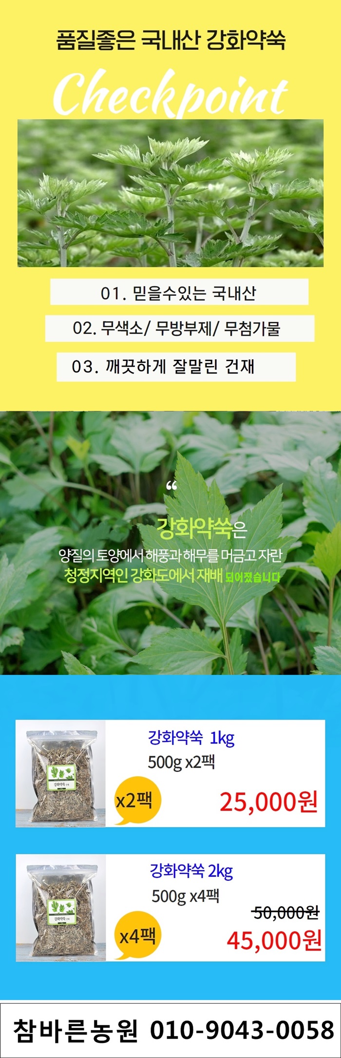 강화약쑥 효능과 말린 6